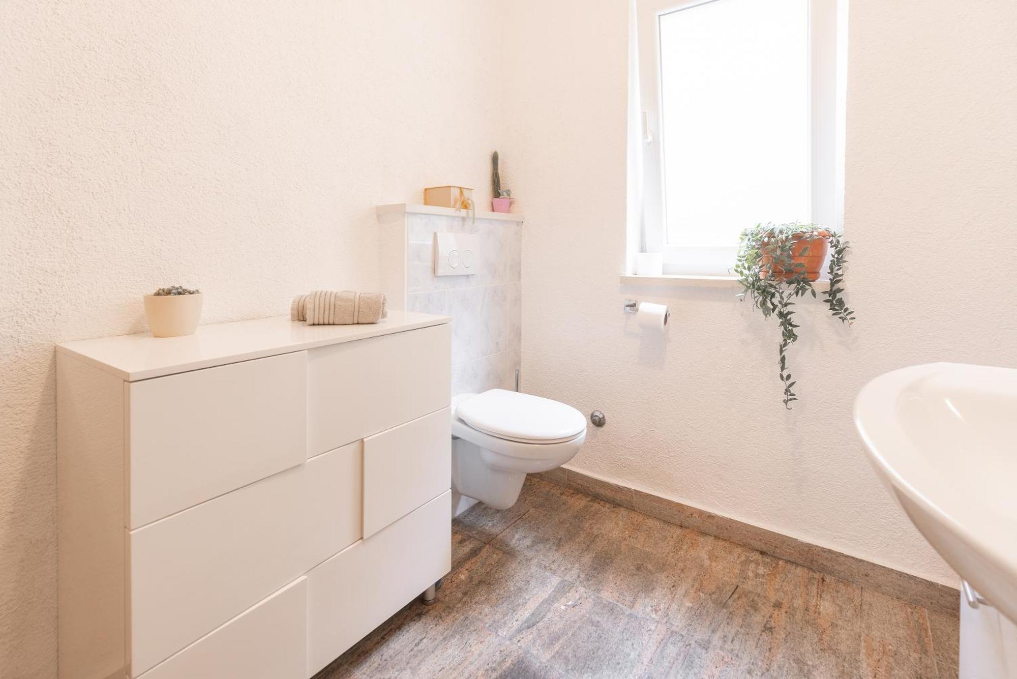 Apartman Nora オミシュ エクステリア 写真