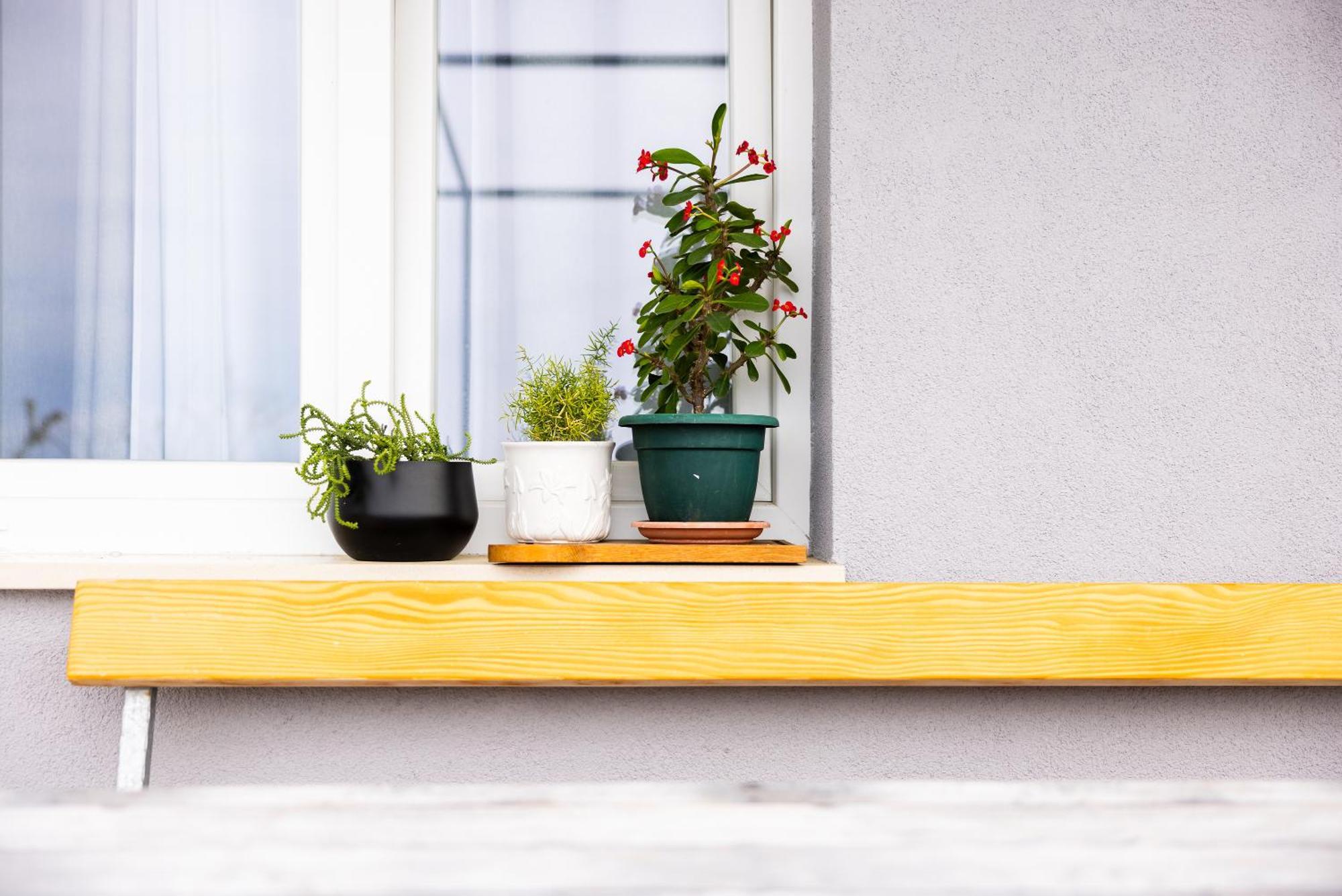 Apartman Nora オミシュ エクステリア 写真
